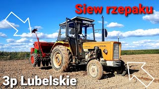 ☆ Późny  Siew rzepaku  04.09.2021 !!! Ursus  C 360 3p w akcji ☆