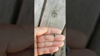 Blue green sapphire 7.7 mm round