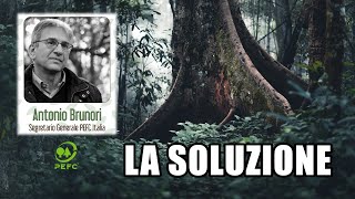 Nel mondo degli alberi con @PefcPressOfficeItaly e Antonio Brunori