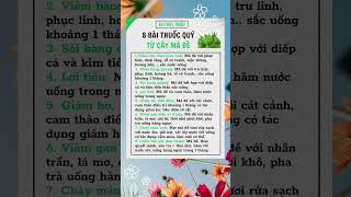 8 bài thuốc quý từ cây Mã Đề || Bs Thuỷ Triệu  #shots #shorts