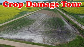 Crop Damage from Fathers Day Storm 2022 - Travels with Bill