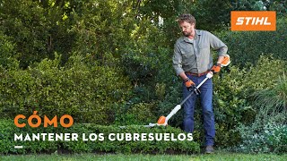 Cómo mantener los cubresuelos del jardín | STIHL