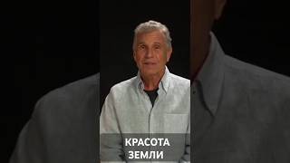 ВЕРНУТЬСЯ К ПРИРОДЕ: Как могут помочь практики шаманов? Альберто Виллолдо