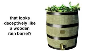 Wooden Rain Barrels - But Not?