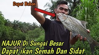 Najur Di Sungai Besar Dapat Ikan SEMAH Dan SIDAT