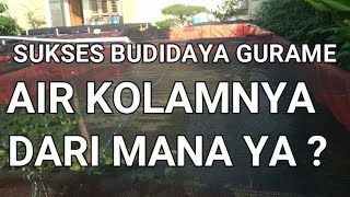 CARA SUKSES BUDIDAYA IKAN GURAME || AIR KOLAM GURAME SEBAIKNYA DARI MANA ?