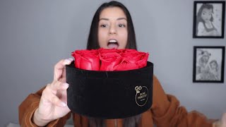 Review Rose Forever New York - Essential Red Round Black Velvet Preserved Roses