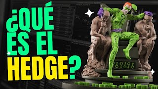 ¿Qué es el HEDGE y cómo funciona? - Pablo Vallarino