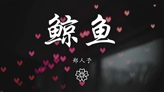 鄭人予 - 鯨魚『吶喊的鯨魚 何時才能停止彷徨』【動態歌詞Lyrics】