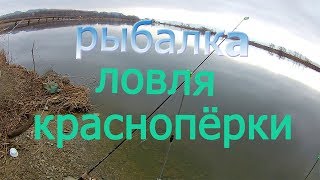 ЛОВЛЯ КРАСНОПЁРКИ НА РЕКЕ МАЙХА В ПРИМОРЬЕ РЫБАЛКА НА РЕКЕ МАЙХА