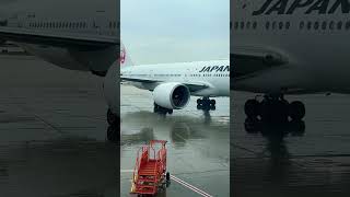 Japan Airlines 777-300ER Taxiing in at Chicago O’Hare!