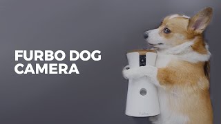 Using Furbo Dog Camera with Amazon Alexa