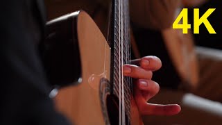 4K Free Stock Footage: Man Playing a Portuguese Guitar (6 videos)