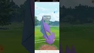 Great League Battle Highlight pokemon go GBL pvp battle video