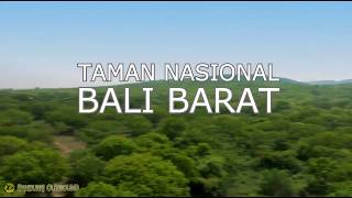 Tempat Wisata Bali | Taman Nasional Bali Barat