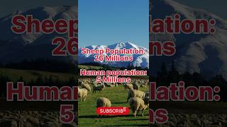 Interesting facts about New Zealand 🇳🇿 | it's fact #shorts