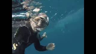 Snorkeling with Whaleshark in Tofo