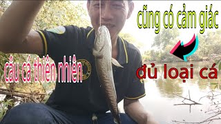 câu cá thiên nhiên được ngày đi câu chống móm@CuongFising