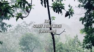 Feid - SORRY 4 THAT MUCH (Letra/Lyrics)