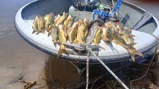 MUCHO PIQUE Y FRITONGA EN MONTE VERA  , CAPITULO 33 #fishingvideo #viral #pesca