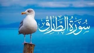 Surah At-Tariq  With Arabic Text (HD)