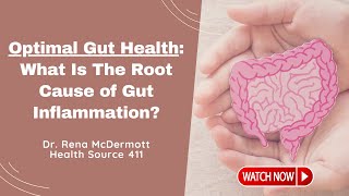 Optimal Gut Health: What Is The Root Cause of Gut Inflammation?