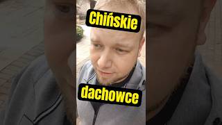 Koty jedzą w Chinach