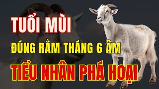 Tử vi tuổi Mùi Đúng rằm tháng 6 Âm lịch. Cần thận trọng hơn để tránh những kẻ tiểu nhân phá hoại