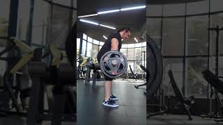 160KG/355 lb bent over rows