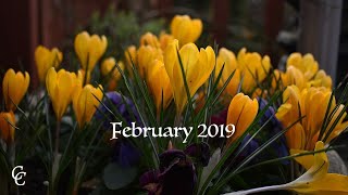 Monthly Memories | February 2019