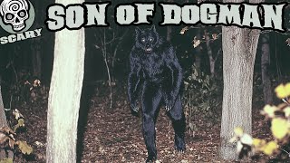 Son of Dogman: 2 Dogman Puppy Stories