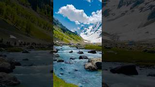 Kashmir #shortfeed#travelingvideo#kashmir#kashmirbeauty#kashmirvalley#shortvideo #famouskashmir