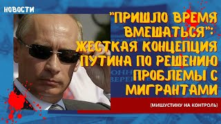 Пришло время вмешаться: жесткая концепция Путина по решению проблемы с мигрантами