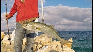 bluefish fishing,  fishing greece,  ψάρεμα Γοφάρια