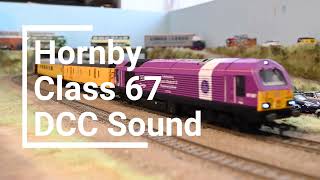 Hornby Class 67 With ESU Sound And 2 Speakers, Painted By Rainbow Railways