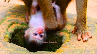 Leo newborn baby nursing plenty milk & his mama Libby seem not fast producing milk for him