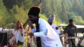 Ras Batch [Live at the Northwest World Reggae Festival 2012]