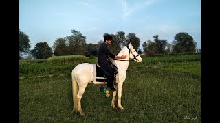 VILLAGE LIFE ❤ | TENT PEGGING 2022 | NEZA BAZI 2022 | PUNJAB LIFESTYLE 2022 #shorts