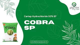 COBRA SP (Cartap Hydrochloride 50% SP)