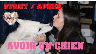 AVANT / APRES - AVOIR UN CHIEN ✿ Enjoying Life