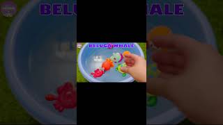 sea animals for kids, #youtubetrending  #animalsforkids #seacreatures #jellokingdom