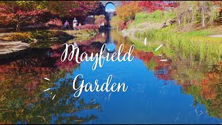 Mayfield Garden | NSW,Australia | One day Trip |Hidden Gem #autumn #mayfield #travel  #beauty #love