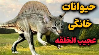 حیوانات خانگی عجیبی که ذهنتان را منفجر میکنه😱