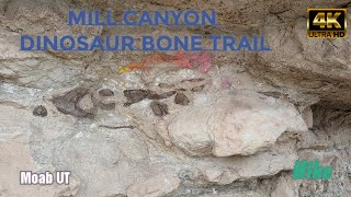 Mill Canyon Dinosaur Bone Trail - Moab Utah