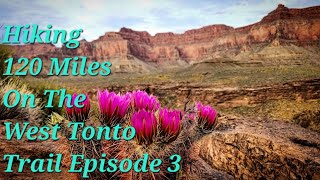 Hiking 120 Miles In Grand Canyon NP 6 Night West Tonto Trail Backpacking Slate To Ruby Gems Ep 3