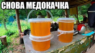 Откачиваем мёд на лесной пасеке. День 1. Ударные выходные. Медокачка 2023