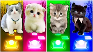 CUTE CATS - JISOO FLOWER VS IMAGINE DRAGONS ENEMY VS BTS VS FLOWERS