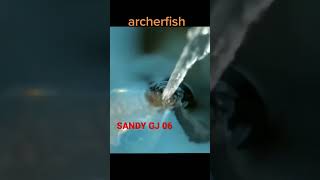 Archerfish