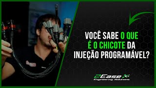 VOCÊ SABE O QUE É O CHICOTE DA INJEÇÃO PROGRAMÁVEL?