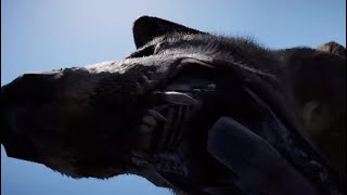 Tibetan Wolf All Kill And Attack Animations In Slow Motion (Far Cry 4)